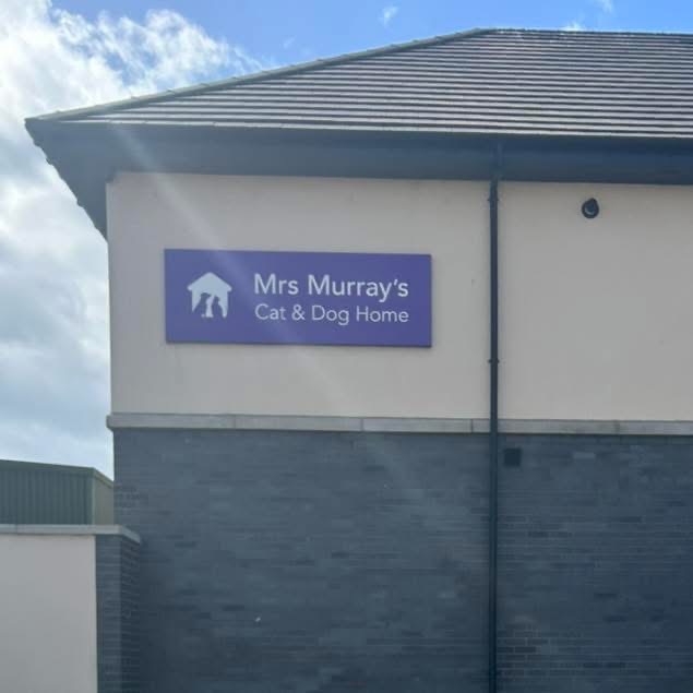 Donation to Mrs Murray’s Cat and Dog Home
